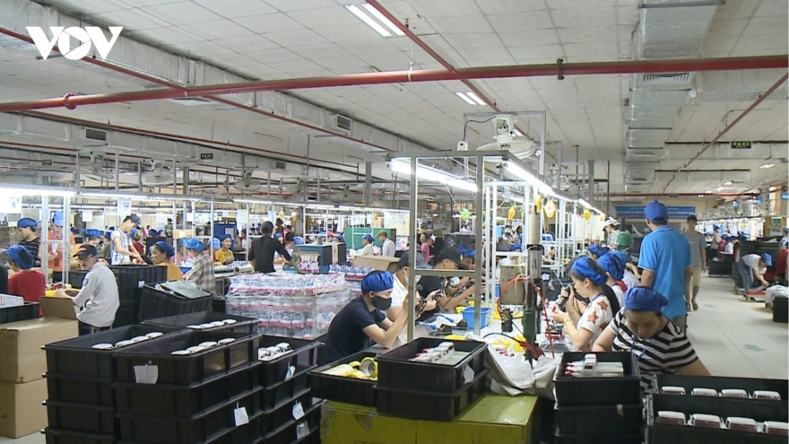 Strengthening internal capacity in SMEs