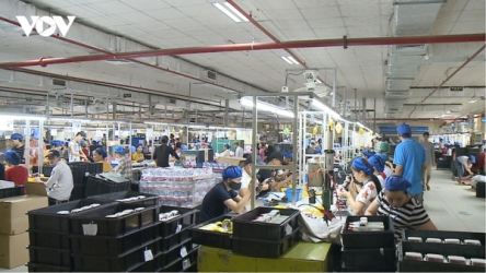 Strengthening internal capacity in SMEs