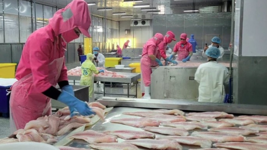 Tilapia opens new growth prospects for Vietnam’s seafood sector