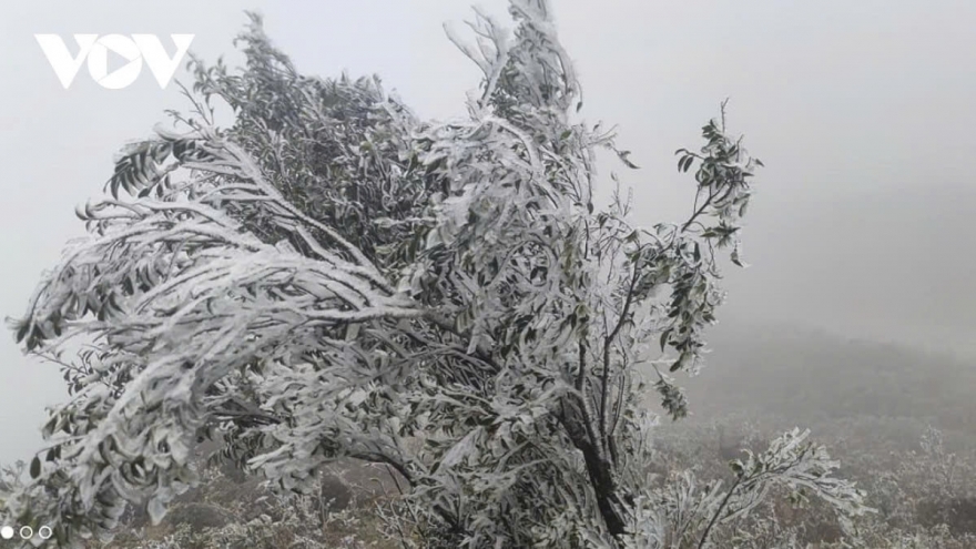 Strong cold spell grips northern Vietnam, frost and ice risk in mountains