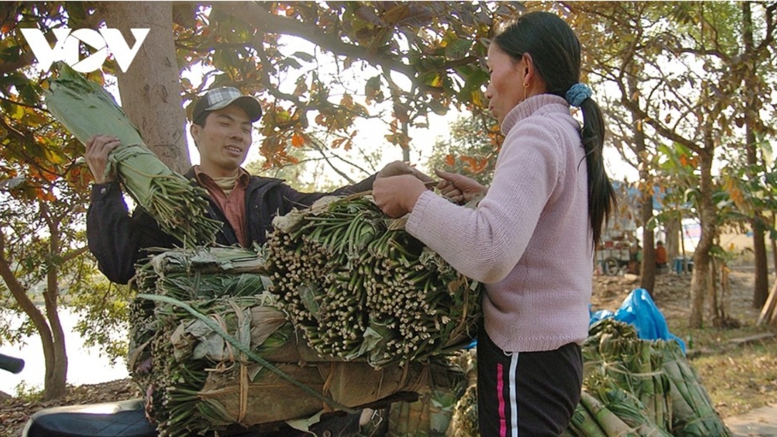 Tranh Khuc banh chung village gears up for Tet