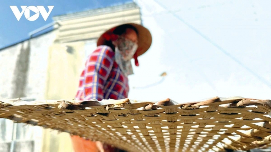 A 200-year-old craft village heats up for Tet in Mekong Delta