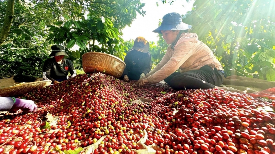 Vietnamese firms seek partners at chocolate and coffee fair in Algeria