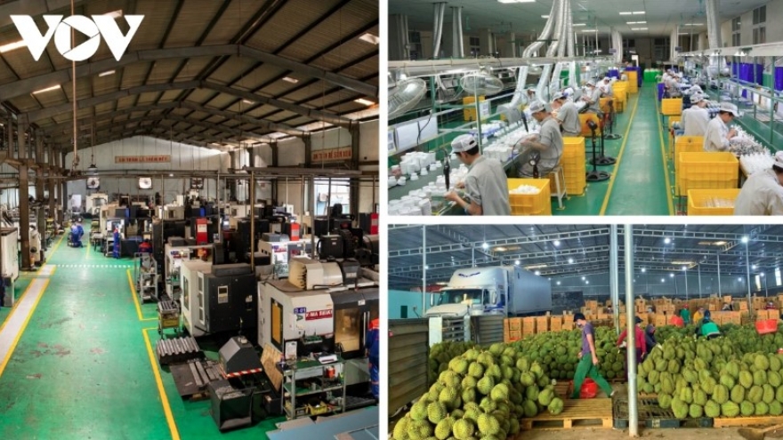 Laying groundwork for national enterprises to grow in step with the nation