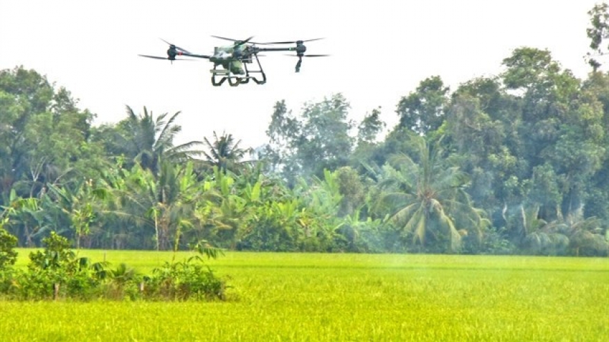 Agriculture sector puts data at the heart of digital transformation