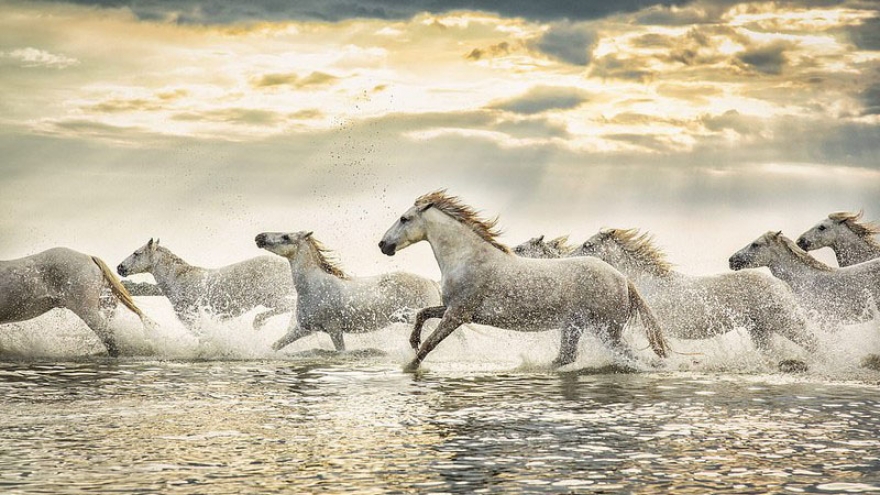 Độc đáo sản phẩm linh vật ngựa từ các làng nghề truyền thống