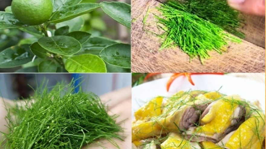 Việt Nam có lá gia vị không thể thiếu trong mâm cỗ Tết, tốt chẳng kém "thuốc bổ"