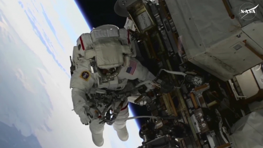 Những bí ẩn kỳ lạ của thế giới tự nhiên vượt xa trí tưởng tượng con người