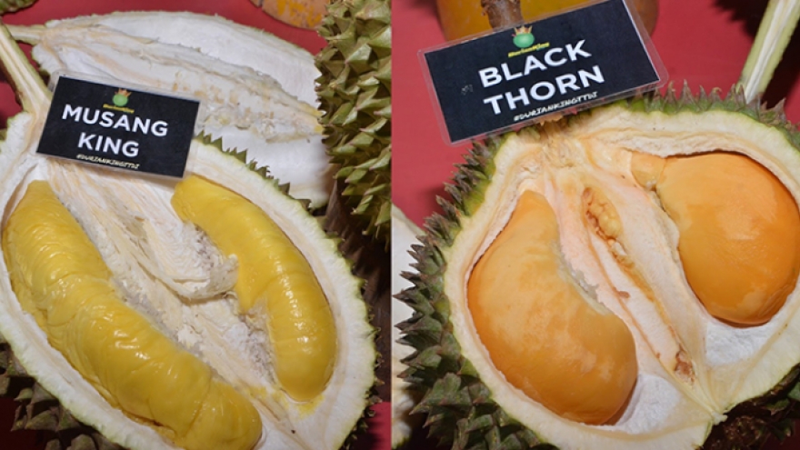 Sức mua tăng vọt, sầu riêng tiền triệu vẫn “cháy hàng” dịp Tết