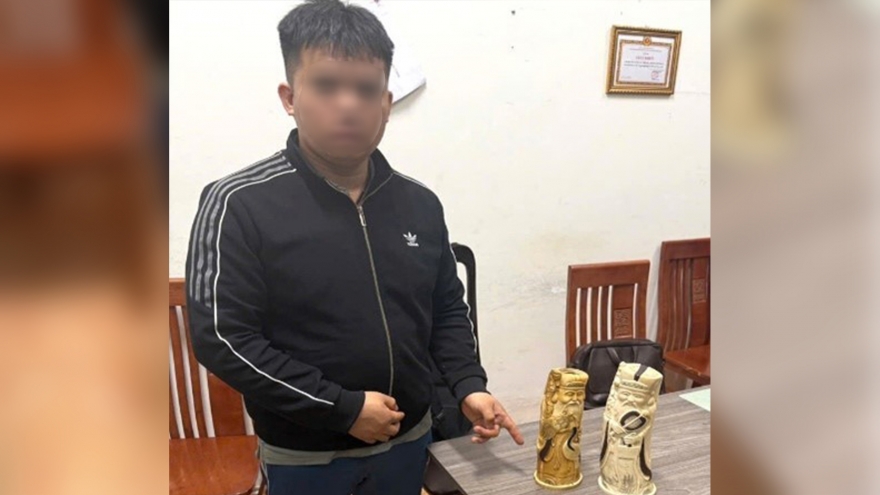 Bắt giữ đối tượng buôn bán sản phẩm từ ngà voi tại Hà Nội