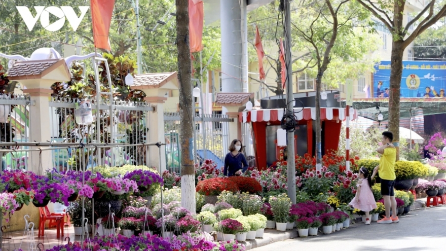 Spring colors fill Lunar New Year flower market in Buon Ma Thuot