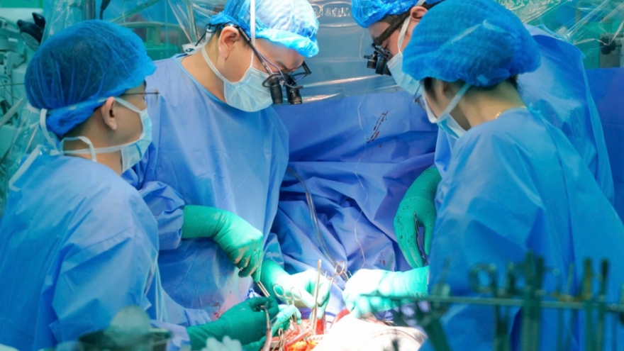 Professional excellence, dedication define Vietnam’s healthcare system