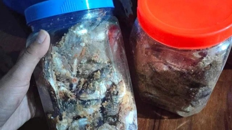 Bộ Y tế cảnh báo nguy cơ ngộ độc với thực phẩm ủ chua, lên men