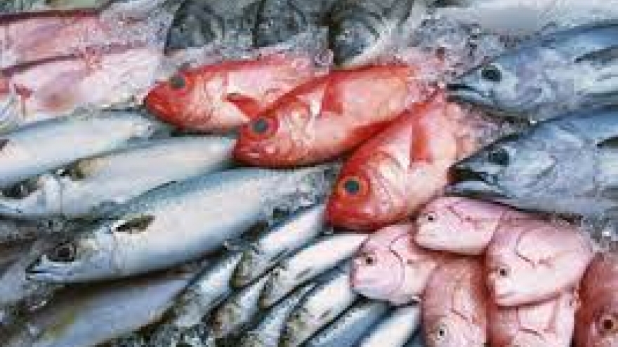 Cả gia đình nhập viện sau bữa cơm cá biển