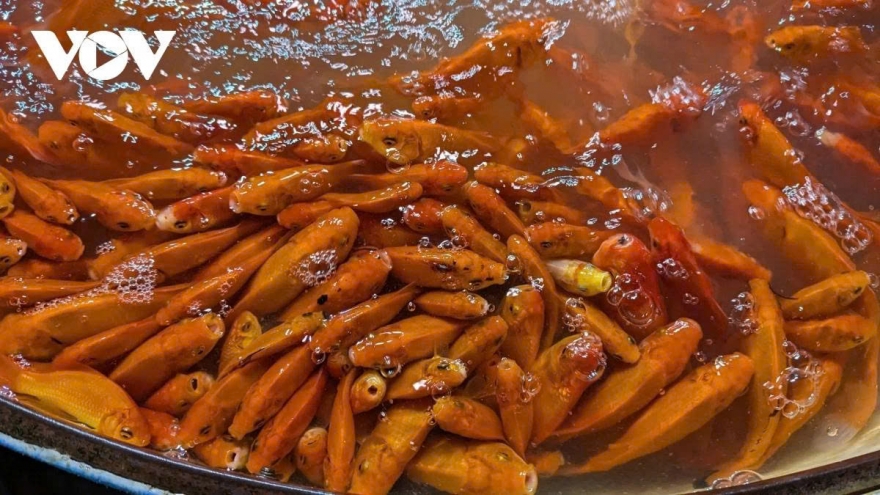 Cúng ông Công ông Táo: Chọn cá chép thế nào để đúng lễ, đúng phong tục?