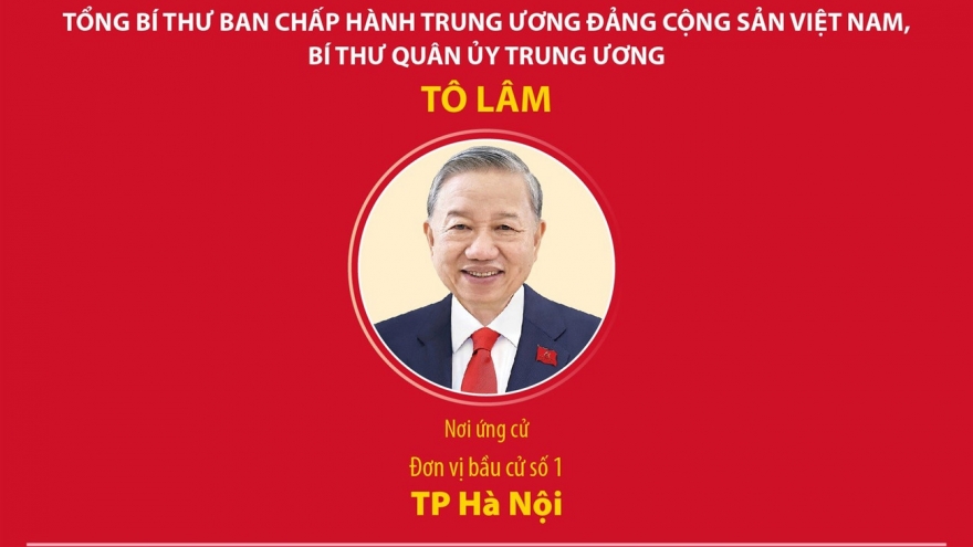 Các lãnh đạo cấp cao ứng cử đại biểu Quốc hội khóa XVI
