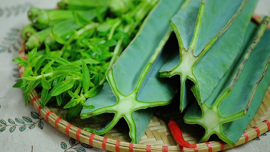 Loại cây dại đầy gai mọc ven biển thành đặc sản