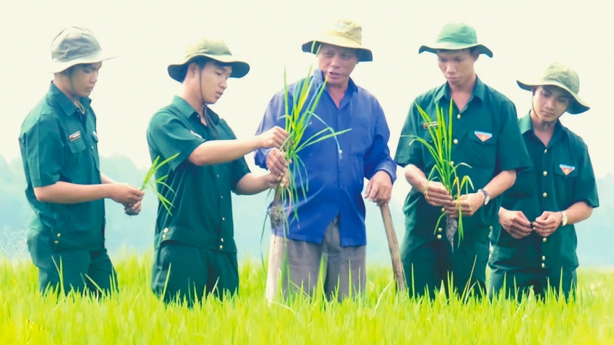 Đảng viên - Tri thức trẻ tình nguyện xung kích trong thực hiện “nhiệm vụ kép”