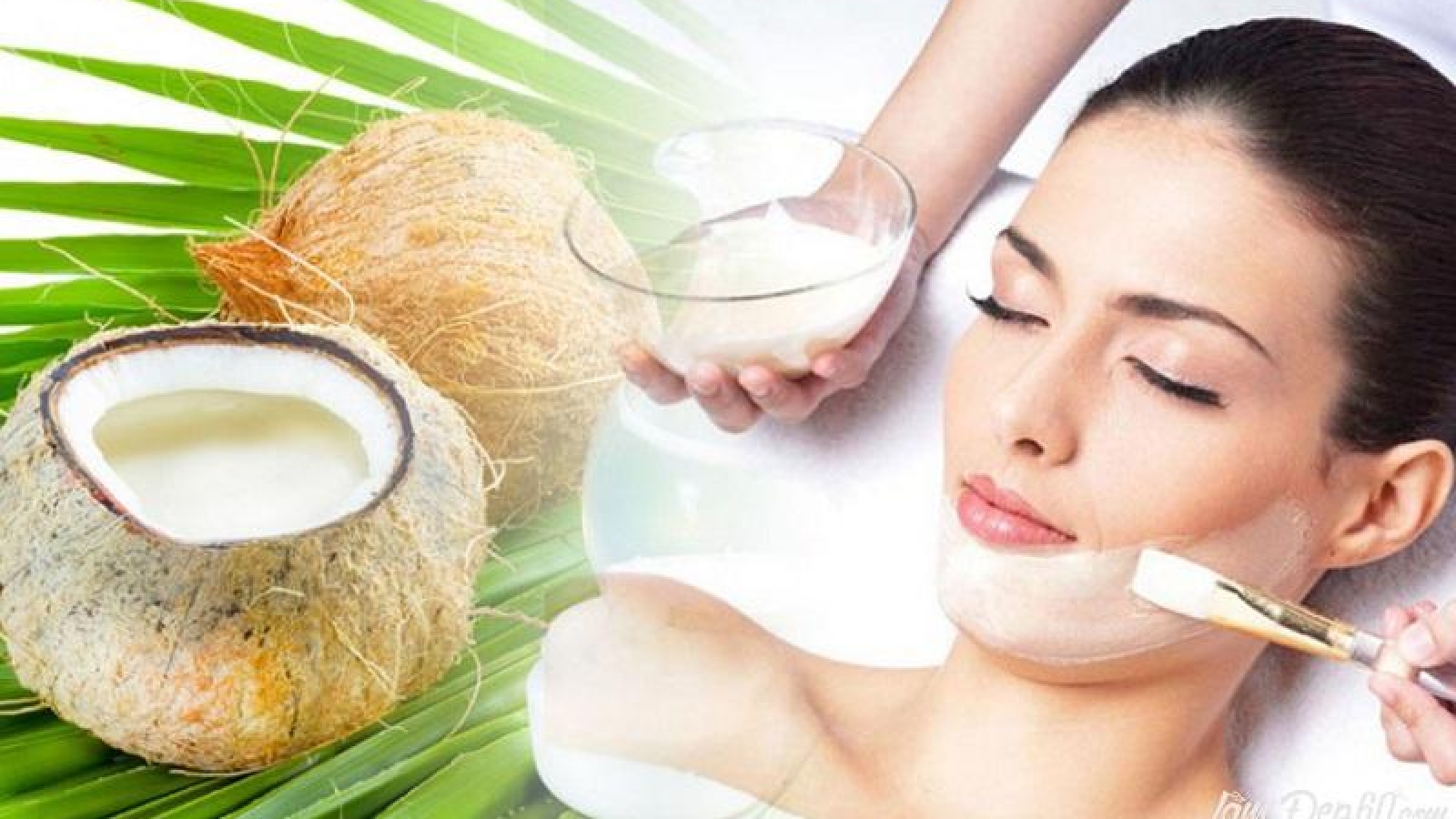 Bôi dầu dừa lên mặt sao cho không bí da, nổi mụn?
