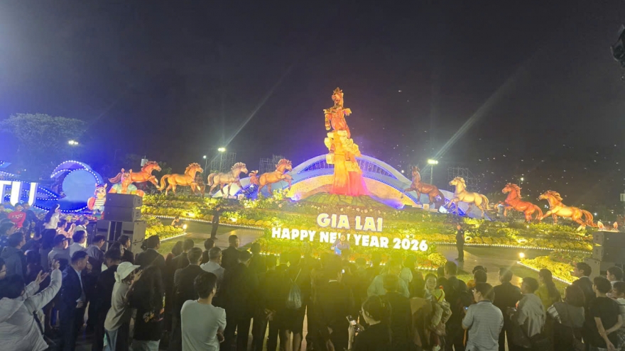 Khánh thành cụm linh vật ngựa đón Tết Bính Ngọ 2026 tại Quy Nhơn, Gia Lai