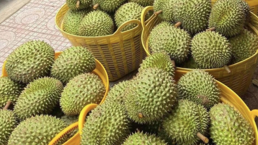 Taiwan tightens inspection of durian imports from Vietnam