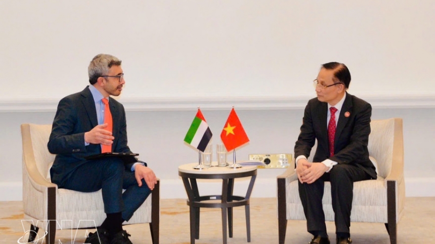 Vietnamese FM meets counterparts of UAE, Egypt and Türkiye