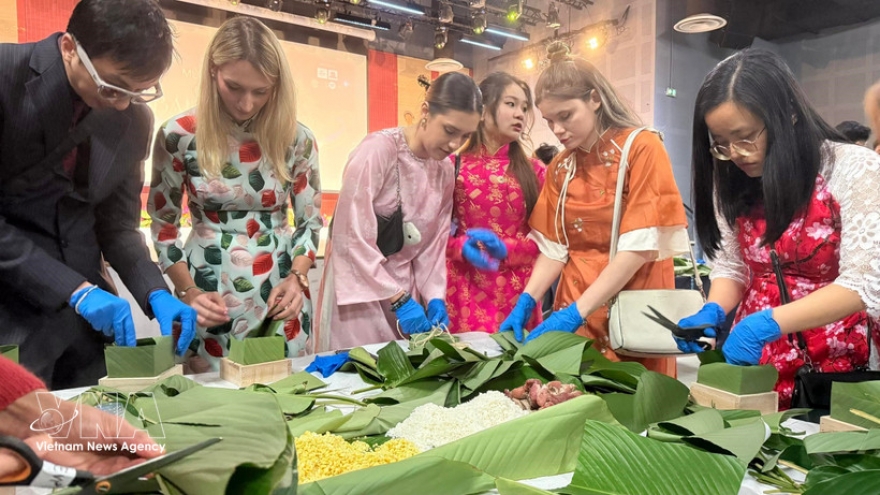 Spring fair brings Vietnamese Tet spirit to France
