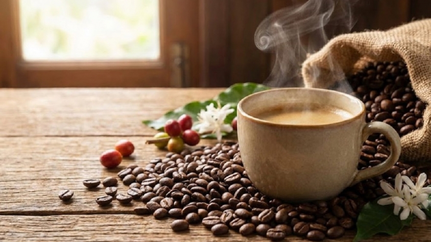 Giá cà phê hôm nay 2/2: Cà phê trong nước thu mua trung bình 100.900 đồng/kg