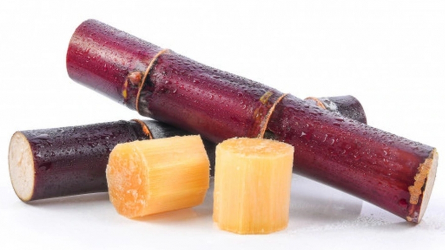 Loại cây ngọt như đường, giúp dưỡng gan bổ thận, một cây cả nhà ăn