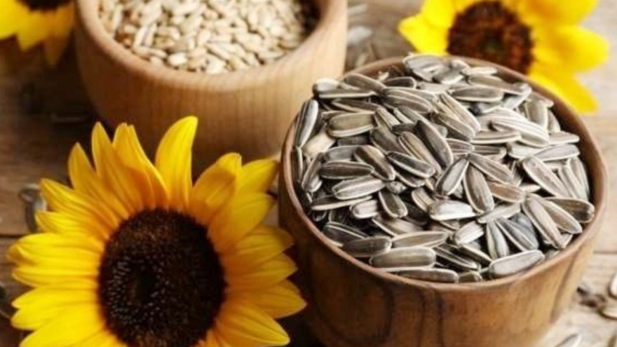 Vì sao không nên ăn quá nhiều hạt hướng dương vào dịp Tết?