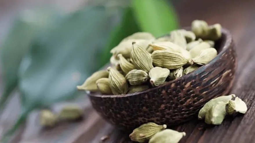 Loại gia vị có nhiều ở Việt Nam là "vị thuốc quý" được săn đón trên thế giới