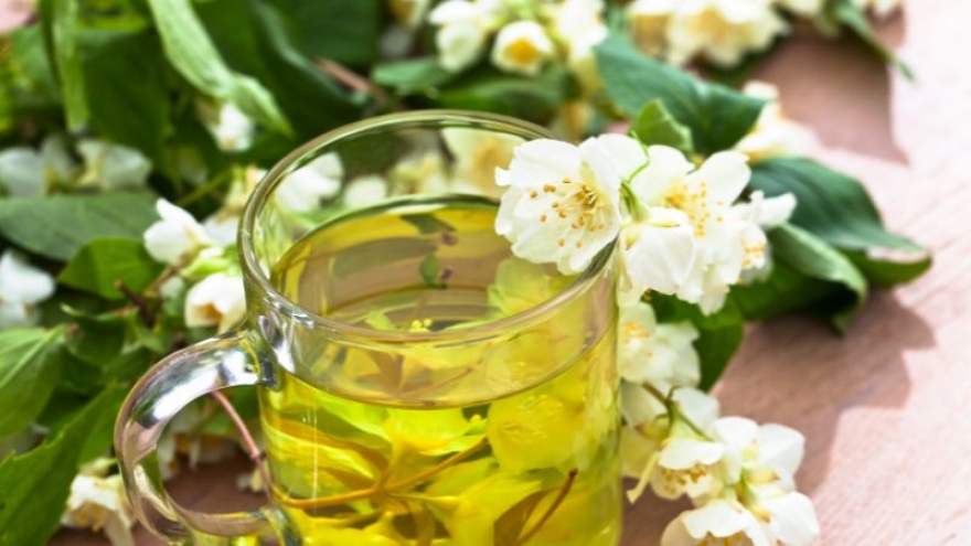 Uống trà hoa nhài mỗi ngày, cơ thể thay đổi ra sao?