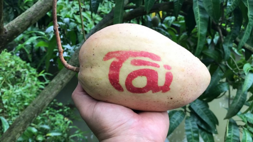 Xoài tạo hình độc lạ, giá cao vẫn hút khách Tết Bính Ngọ 2026