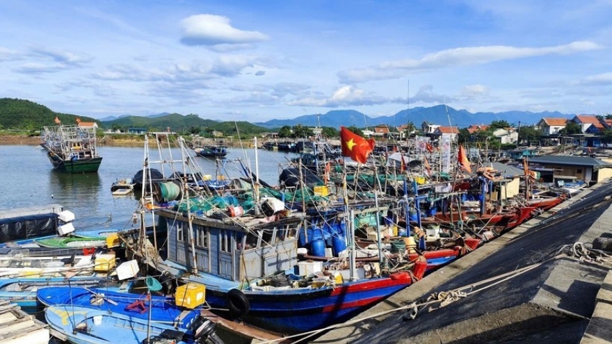 Quang Ninh completes fishing licence issuance ahead of schedule