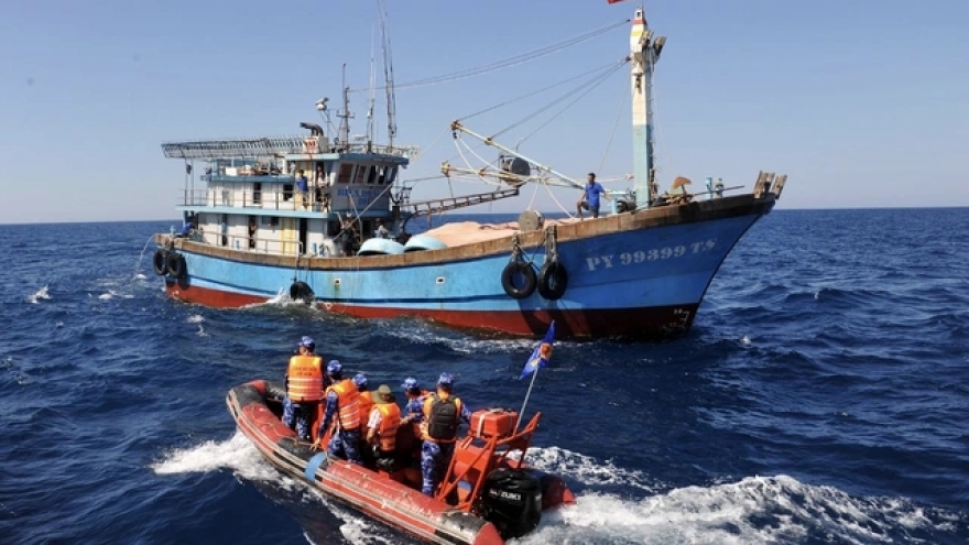 Chính phủ yêu cầu tổ chức ngay các đoàn kiểm tra, thanh tra xử lý vi phạm IUU