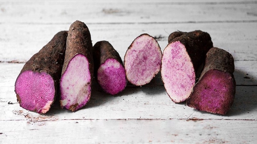 Khoai mỡ: Thứ củ “bình dân” nhưng không hề tầm thường về dinh dưỡng