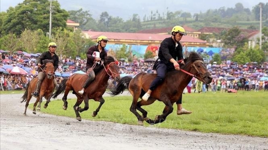 Lively Tet tourism season unfolds across Lao Cai