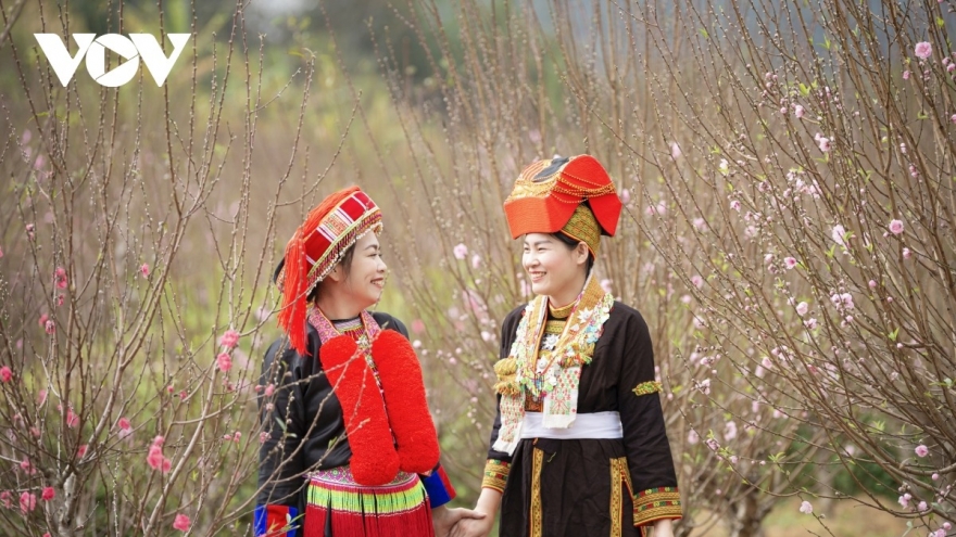 Lễ hội hoa đào xứ Lạng 2026 tổ chức chuỗi hoạt động đặc sắc để thu hút du khách