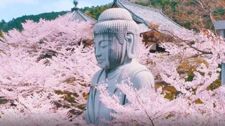 Vì sao chư tăng đứng ra làm lễ cầu an, dâng sao?