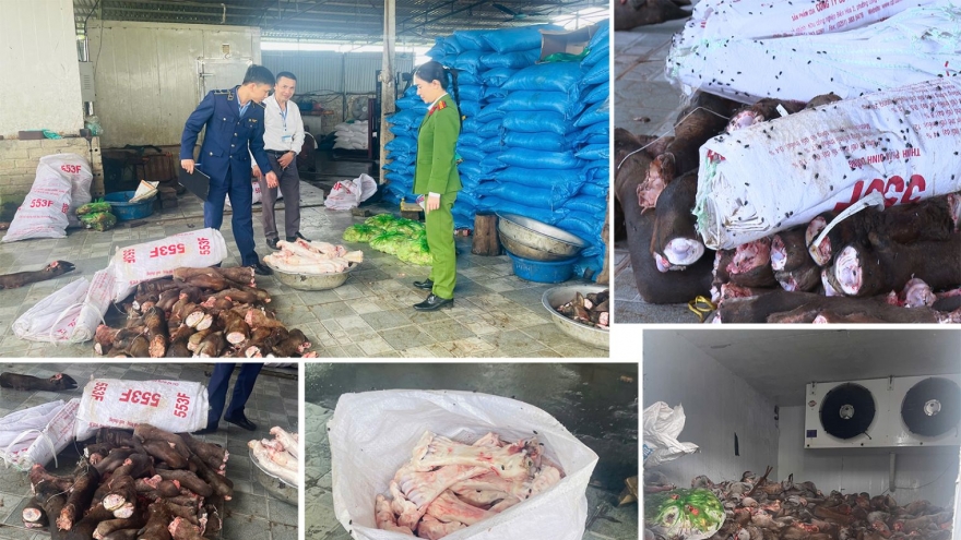 Thanh Hóa: Thu giữ gần 6 tấn thực phẩm bốc mùi hôi thối