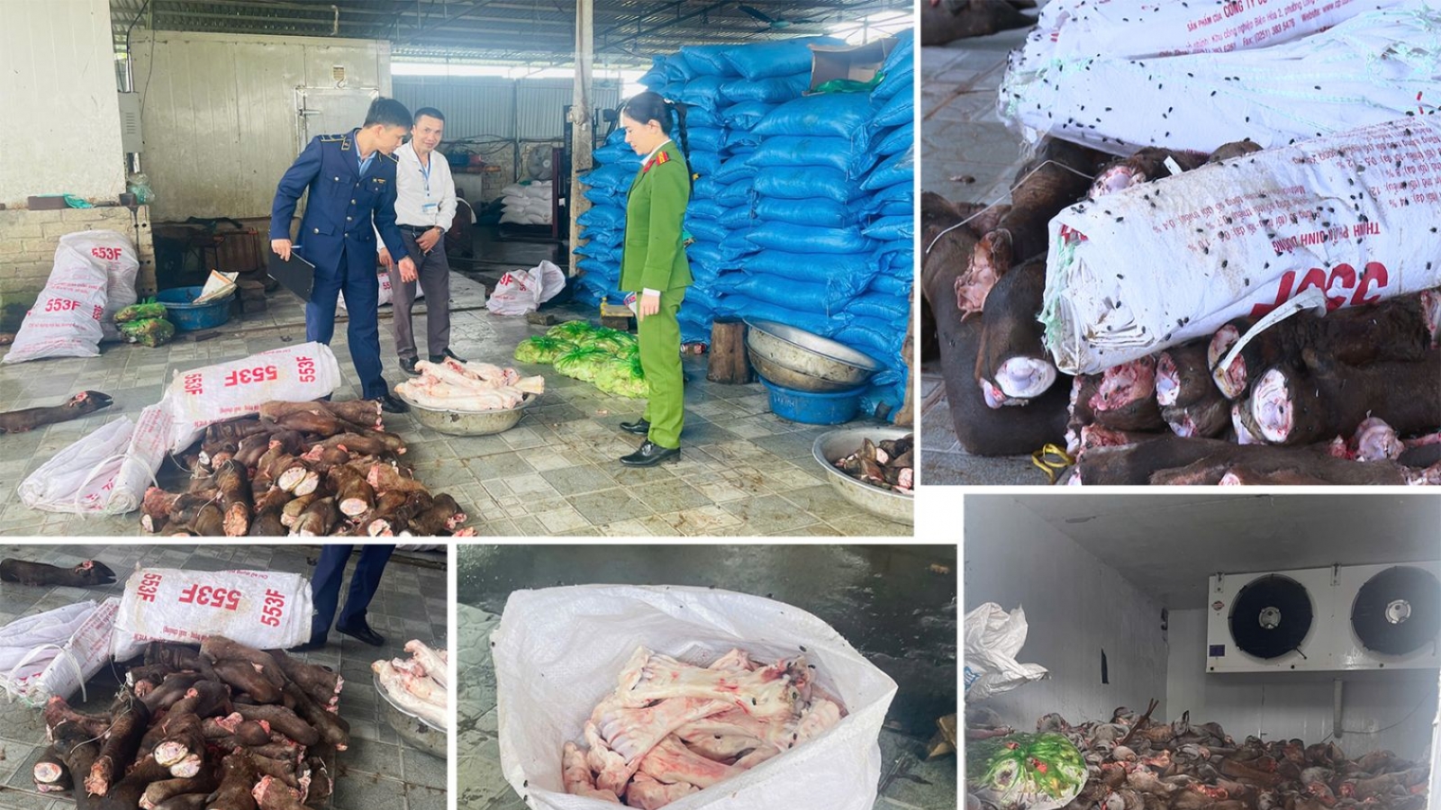 Thanh Hóa: Thu giữ gần 6 tấn thực phẩm bốc mùi hôi thối