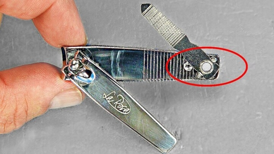 Vì sao trên bấm móng tay nào cũng có lỗ nhỏ? Có tác dụng gì?