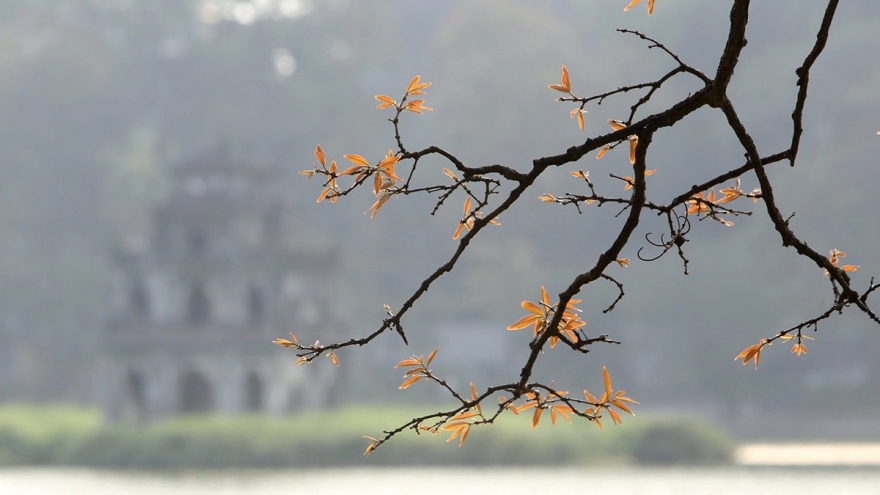 Xuân vẫn qua đây