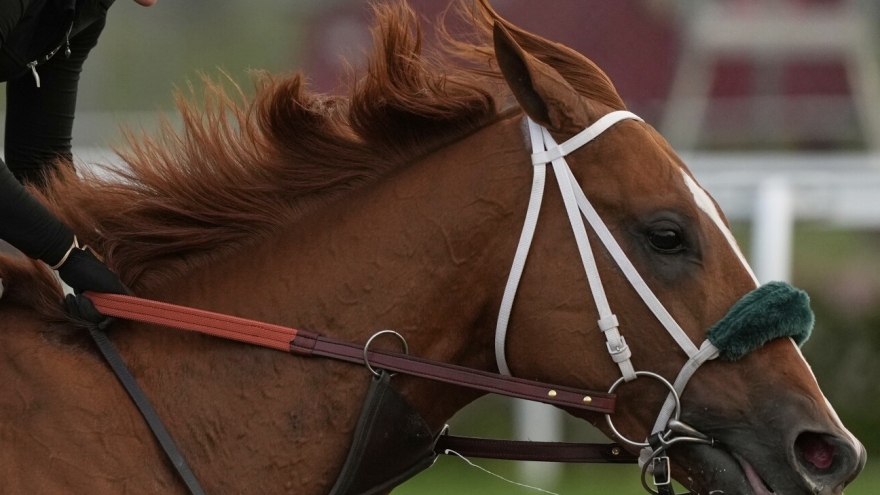 Giải mã tiếng ngựa hí: Sự kết hợp độc đáo giữa “huýt sáo” và “ca hát”