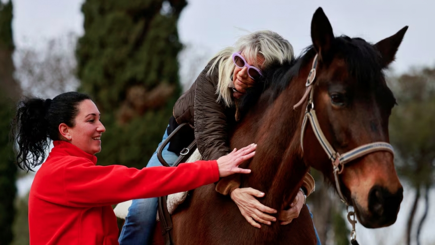 Loài ngựa có thể ngửi thấy “mùi sợ hãi” từ con người?