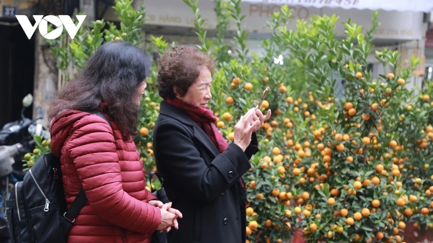 Không khí lạnh dồn dập trước Tết Nguyên đán Bính Ngọ