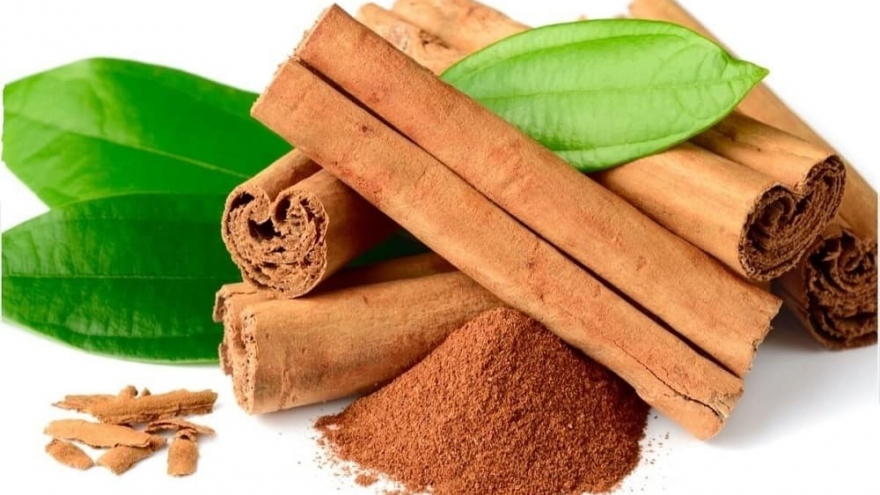 Cinnamon exports hit record high in 2025