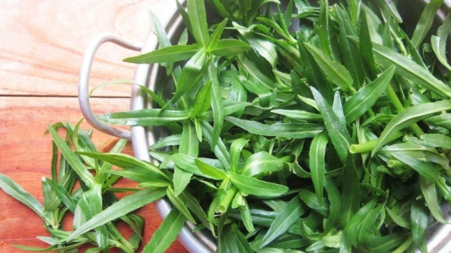 Rau ngổ: Gia vị dân dã, công dụng bất ngờ