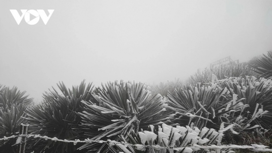 Không khí lạnh mạnh tràn xuống, Bắc Bộ sắp rét đậm