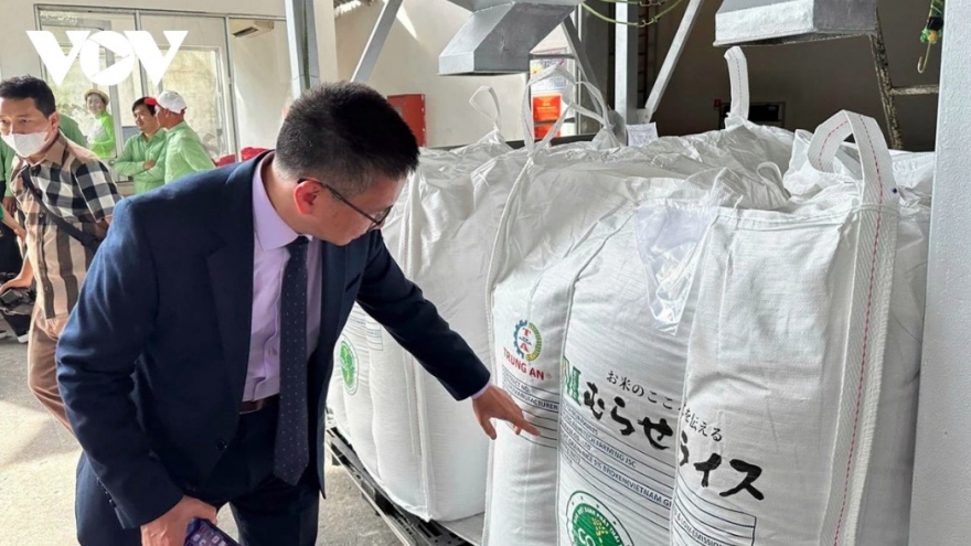 Rice industry urged to restructure as Philippines cut imports